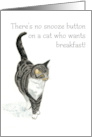 Humorous Grey Tabby and White Cat Blank Inside card