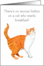 Humorous Red Tabby and White Cat Blank Inside card