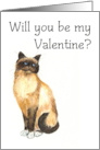 Valentines Greetings with Cute Birman Cat Blank Inside card