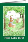 New Baby Boy Congratulations with Cute Bunny Rabbits card