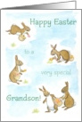 For Grandson at Easter with Bunny Rabbits and Easter Eggs Blank Inside card