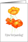 Birthday Greetings in Dutch with Iceland Poppies Blank Inside card