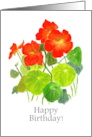 Birthday Greetings with Bright Red Nasturtiums card