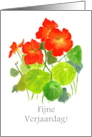 Birthday Greetings in Dutch with Red Nasturtiums Blank Inside card