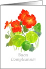 Birthday Greetings in Italian with Red Nasturtiums Blank Inside card