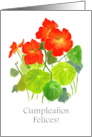Birthday Greetings in Spanish with Red Nasturtiums Blank Inside card