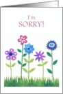 Apology with Row of Pink and Blue Flowers Blank Inside card