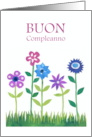 Birthday Greeting in Italian with Row of Flowers Blank Inside card