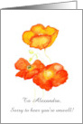 Custom Front Get Well Wishes with Icelandic Poppies card