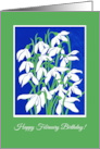 February Birthday with Snowdrops on Blue and Green card