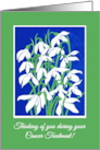 Cancer Treatment Thinking of You with Snowdrops Blue and Green card