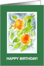 Birthday Greetings with Bright Orange Pot Marigolds card