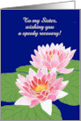 Custom Front Get Well Wishes with Pink Water Lilies card