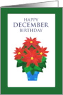 December Birthday with Bright Red Poinsettia Flowers card