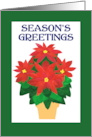 Season’s Greetings for Holidays with Bright Red Poinsettia card