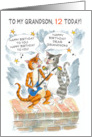 For Grandson Custom Age Birthday with Comic Singing Cats. card