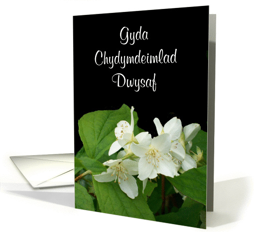 Sympathy Card, Welsh Greeting, Mock Orange card (1251446)