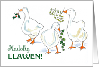 Christmas Greeting in Welsh with Fun Geese Blank Inside card