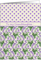 Violets, Polka Dots February Birthday Card, Granddaughter card