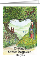 St Dwynwen's Day...