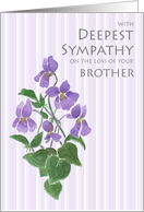 Sympathy for Loss of Brother with Violets card