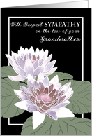 Sympathy on Loss of Grandmother with Water Lilies card