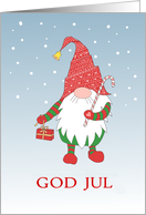 Christmas Greeting in Swedish with Fun Gnome Blank Inside card