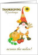Thanksgiving Greeting Across the Miles with Cute Gnome and Pumpkin card