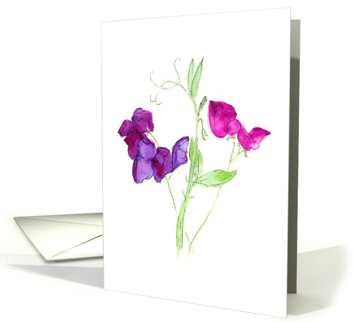 Sweet Peas in Purple and Dark Red Watercolours Blank Inside card