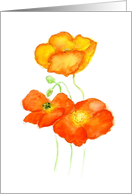 For Friend with Watercolour Icelandic Poppies card