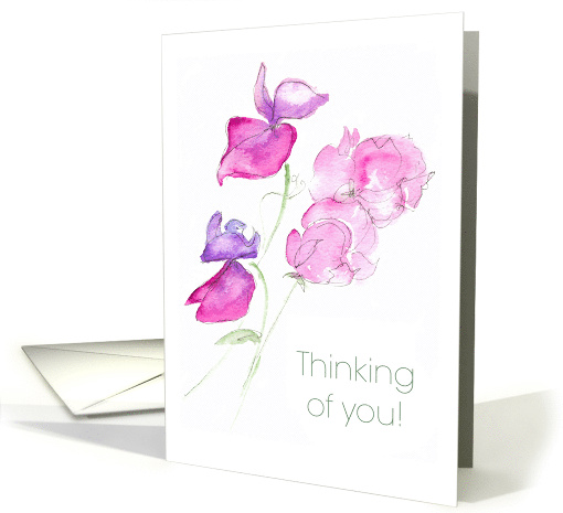 Thinking of You Message with Sweet Peas Blank Inside card (535290)