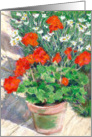 Red Geraniums card