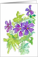 Blue Geranium card