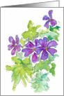 Blue Geranium card