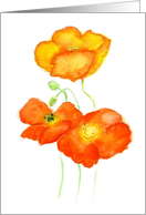 Blank for Any Occasion Bright Orange Icelandic Poppies in Watercolour card