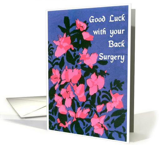 Azalea Good Luck with Your Back Surgery card (635225)