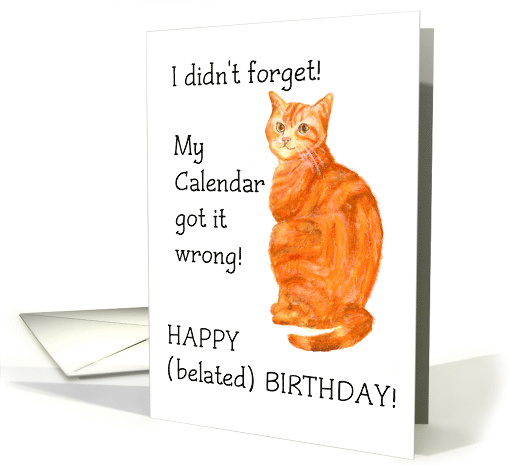 Belated Birthday with fun Ginger Cat Blank Inside card (636464)