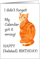 Belated Birthday with fun Ginger Cat Blank Inside card