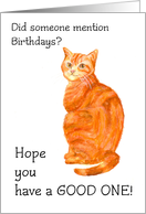 Birthday Wishes with Fun Hand-painted Ginger Cat Blank Inside card