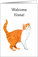 Welcome Home with Ginger and White Cat card