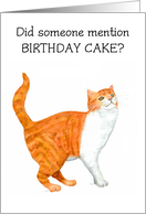 Birthday Greetings with Ginger and White Cat card