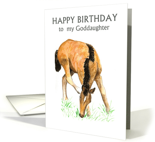 Goddaughter's Birthday Greetings with Young Foal Blank Inside card