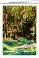 happy Birthday, Bluebells in Foxley Woods card