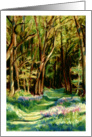 happy Birthday, Bluebells in Foxley Woods card