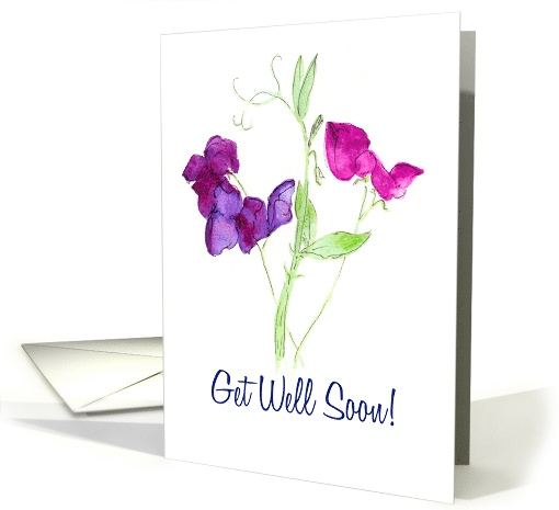 Get Well Soon Wishes Watercolour Sweet Peas Blank Inside card (645313)
