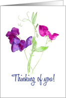 Thinking of You Watercolour Sweet Peas Blank Inside card
