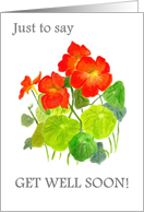Get Well Soon Greetings with Bright Red Nasturtiums card
