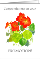 Promotion Congratulations with Bright Red Nasturtiums card