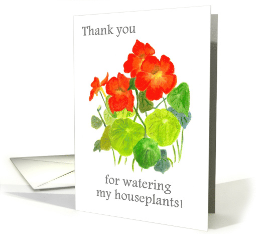 Thanks for Watering Houseplant with Bright Red Nasturtiums card