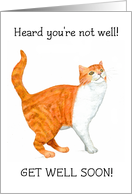 Get Well Wishes with Ginger and White Cat Blank Inside card